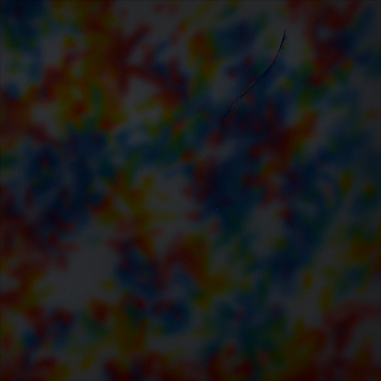 Suspicious Activity Report (SAR) Guide